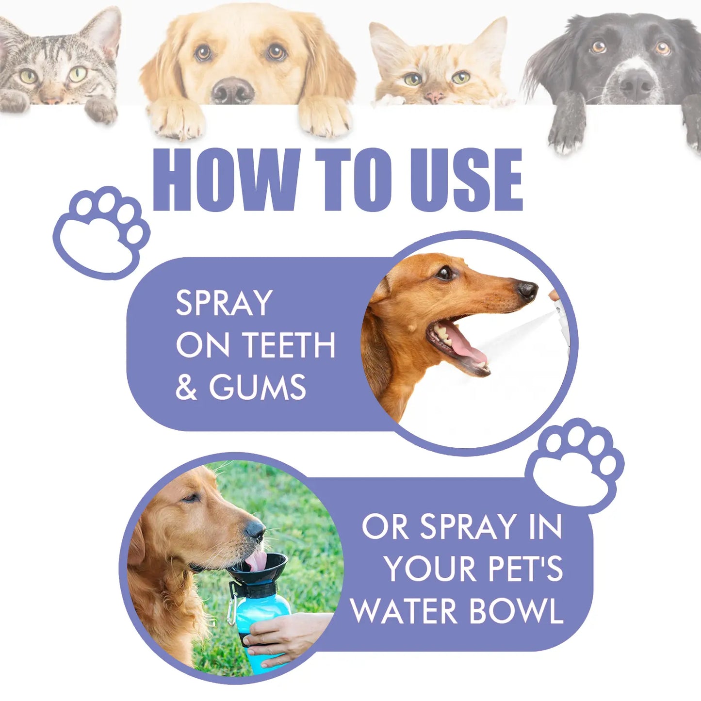 Elourxe™ 🍃No-Brushing Oral Care Spray for Dogs & Cats