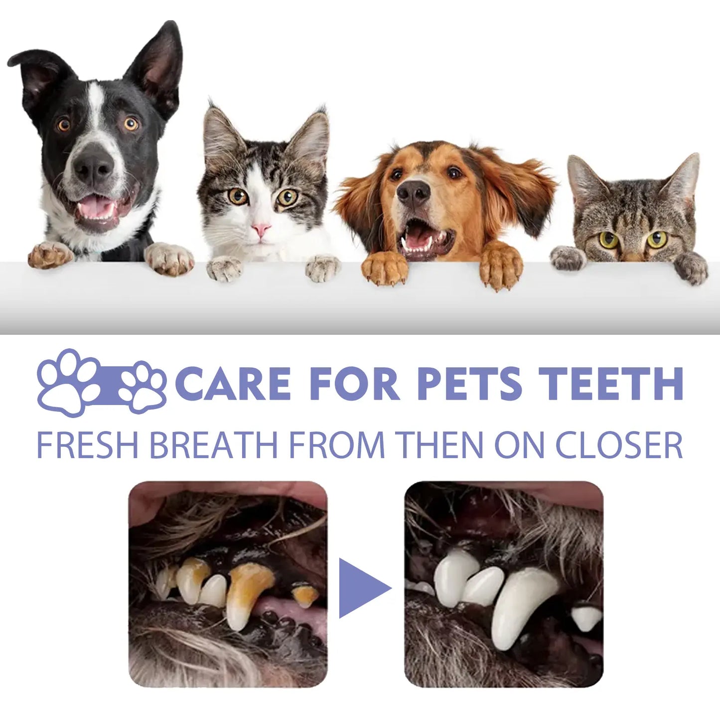 Elourxe™ 🍃No-Brushing Oral Care Spray for Dogs & Cats