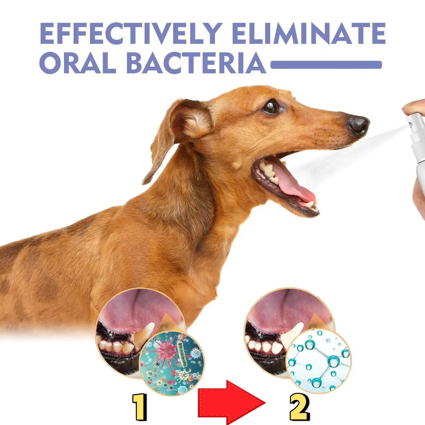 Elourxe™ 🍃No-Brushing Oral Care Spray for Dogs & Cats