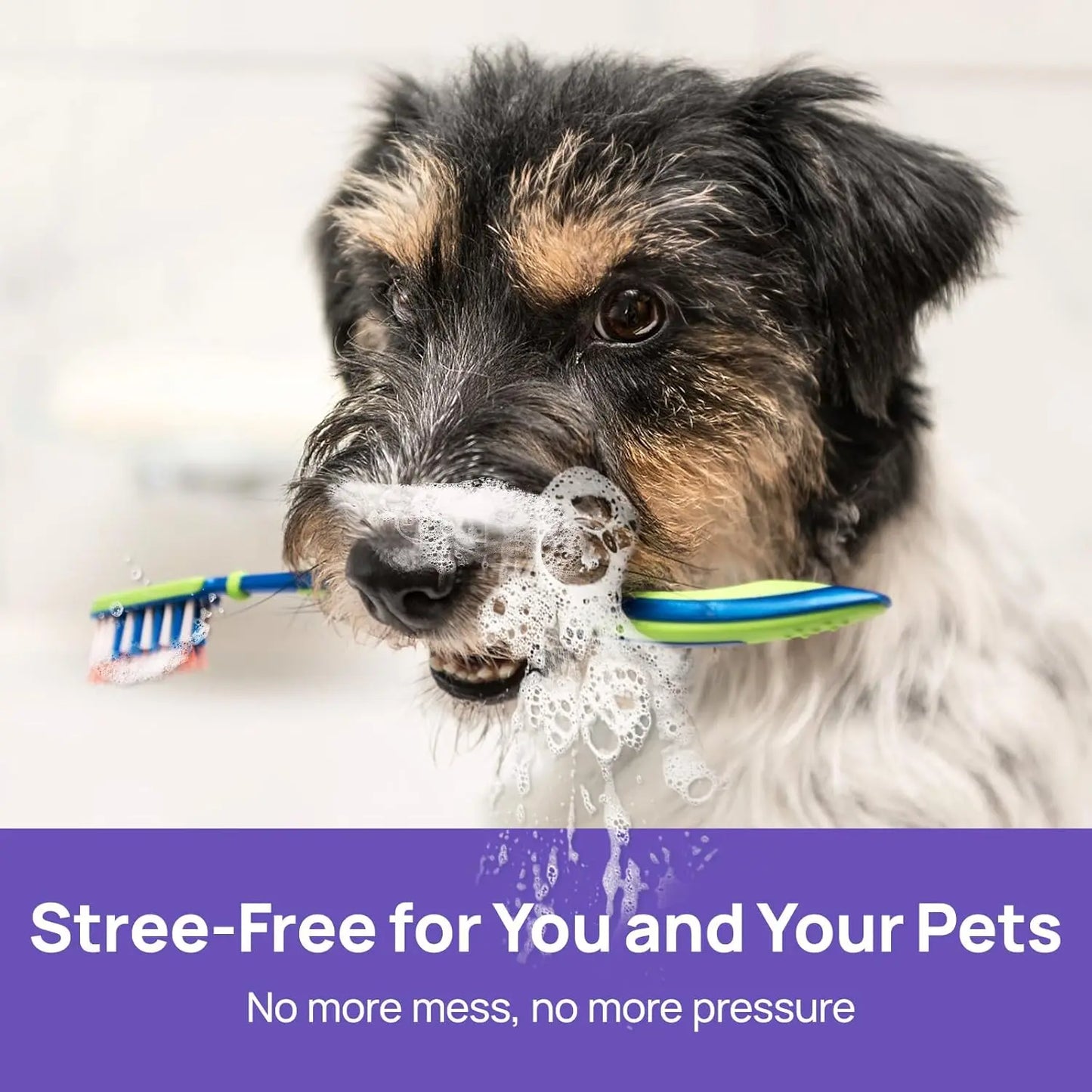 Elourxe™ 🍃No-Brushing Oral Care Spray for Dogs & Cats